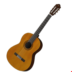 گیتار کلاسیک پارسی
